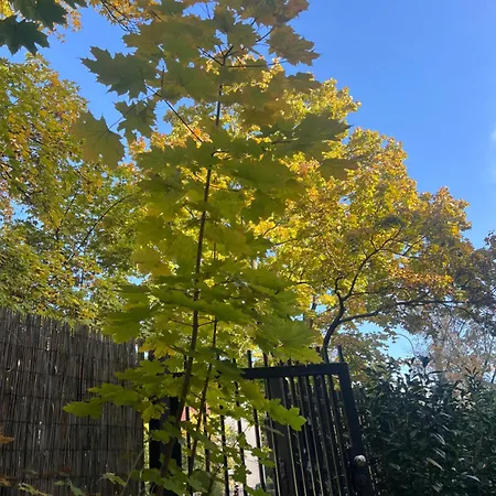 Zoliborz Apartment *