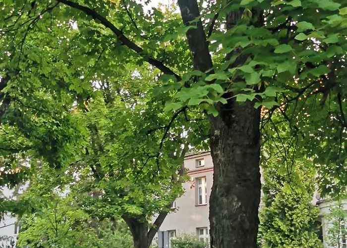 Apartment Zoliborz *