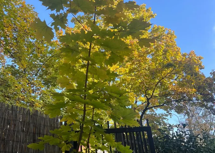 Zoliborz Apartment *